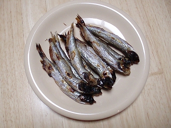PA210036.jpg