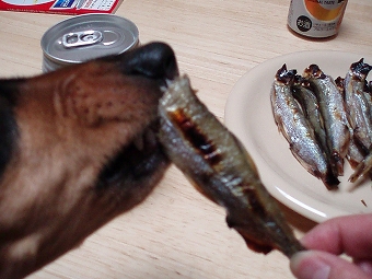 PA210039.jpg