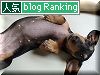 ranking.jpg